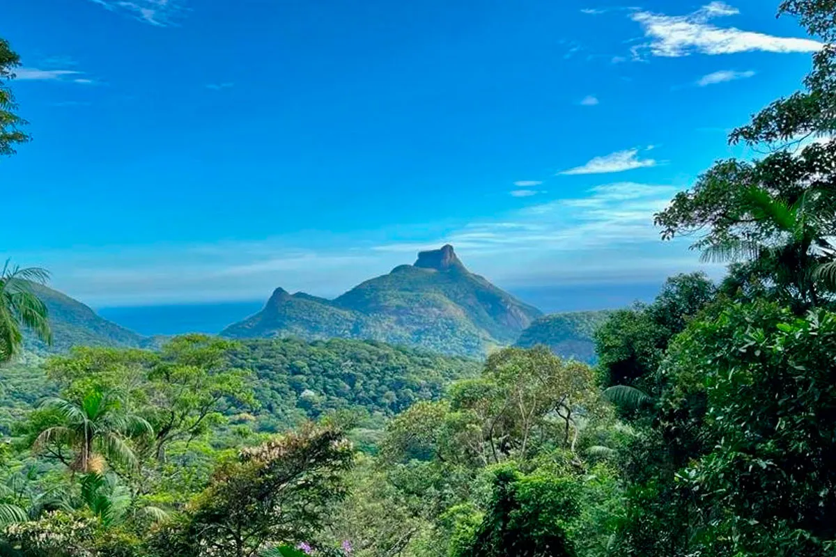 floresta-da-tijuca